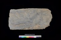 藏品(東側板)的圖片