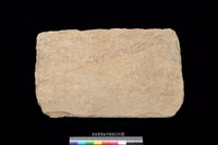 藏品(東側板)的圖片