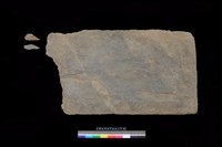 藏品(東側板)的圖片