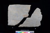 藏品(西側板)的圖片