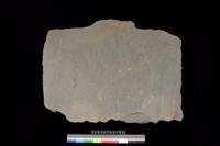 藏品(石板)的圖片