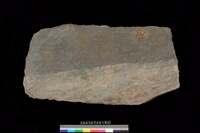 藏品(西側板)的圖片