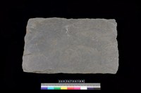 藏品(北端板)的圖片