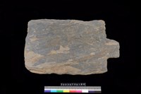 藏品(南端板)的圖片