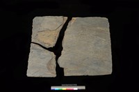 藏品(南端板)的圖片