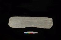 藏品(東側板)的圖片