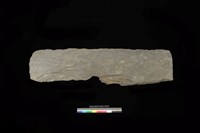 藏品(西側板)的圖片