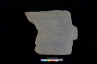 藏品(東側板)的圖片