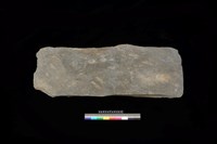 藏品(東側板)的圖片