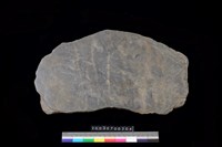 藏品(蓋板)的圖片