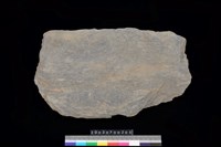 藏品(東側板)的圖片