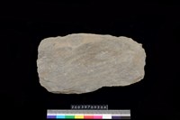 藏品(北端板)的圖片