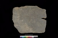 藏品(東側板)的圖片