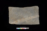 藏品(南端板)的圖片