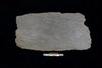 藏品(西側板)的圖片