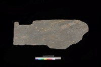 藏品(西側板)的圖片