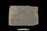 藏品(東側板)的圖片