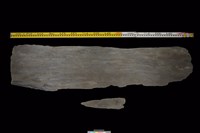 藏品(東側板)的圖片