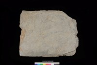 藏品(南端板)的圖片