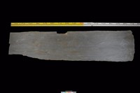 藏品(西側板)的圖片