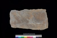 藏品(底板)的圖片