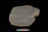 藏品(蓋板)的圖片