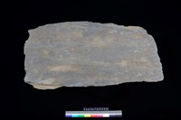 藏品(蓋板)的圖片