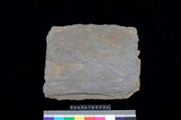 藏品(北端板)的圖片