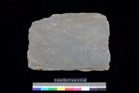 藏品(南端板)的圖片