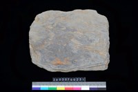 藏品(南端板)的圖片