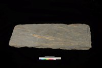 藏品(東側板)的圖片