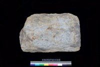 藏品(北端板)的圖片