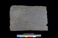 藏品(南端板)的圖片