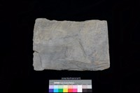 藏品(北端板)的圖片