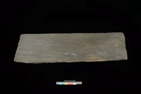 藏品(東側板)的圖片