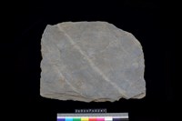 藏品(北端板)的圖片