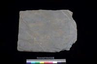 藏品(南端板)的圖片