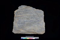 藏品(北端板)的圖片