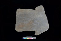 藏品(南端板)的圖片