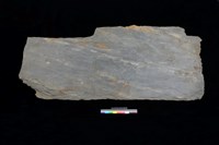 藏品(石板)的圖片