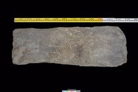 藏品(東側板)的圖片