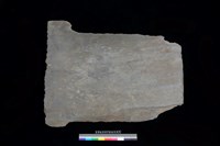 藏品(石板)的圖片