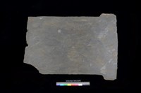 藏品(東側板)的圖片