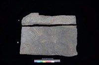 藏品(石板)的圖片