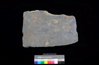 藏品(石板)的圖片