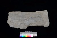 藏品(石板)的圖片