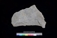 藏品(石板)的圖片