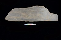 藏品(石板)的圖片