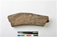 藏品(鯨魚肋骨)的圖片