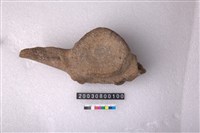 藏品(鯨魚脊椎骨)的圖片